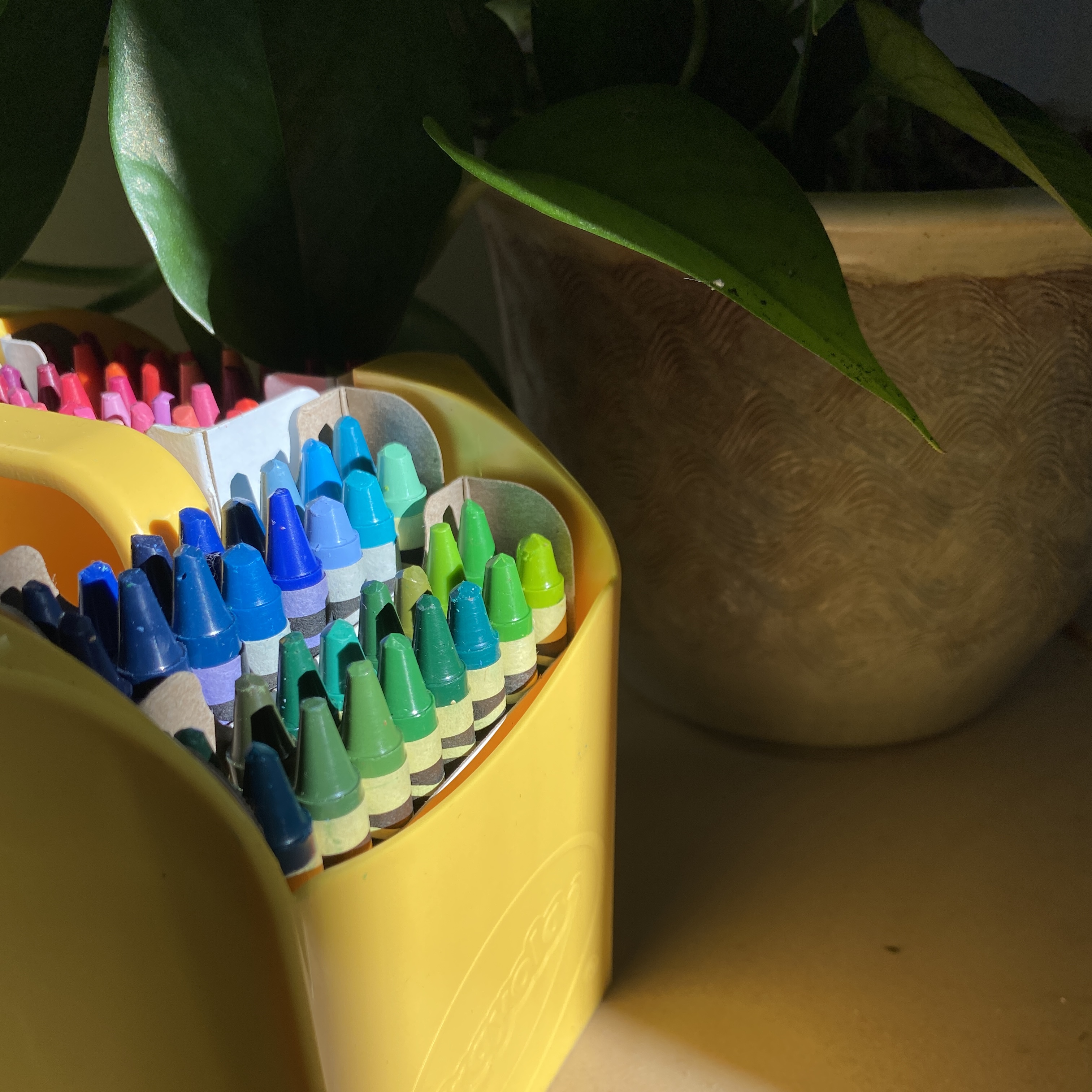 Decorative image of a jumbo pack of crayons in sunlight